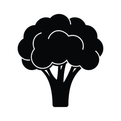 Cauliflower vector silhouette illustration isolated on white background