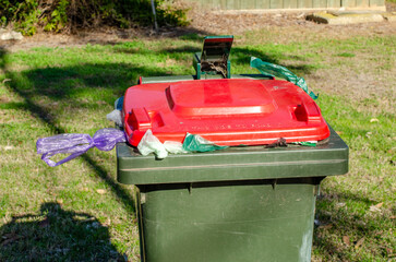 A public rubbish bin in an Australian park with several plastic bags—some used for pet...