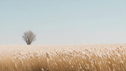 serene landscape featuring soft graybeige textures with single focal point that draws eye - Powered by Adobe