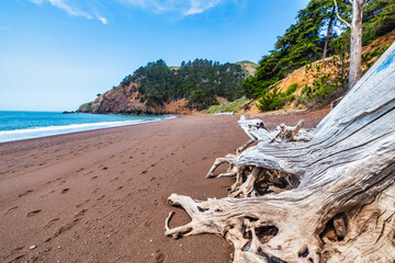 Kirby Cove Beach in California with red sand, blue ocean waves, and dramatic cliffs covered in pine trees. A hidden gem near San Francisco, perfect for nature, travel, and coastal exploration themes