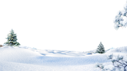 christmas background with fir branches