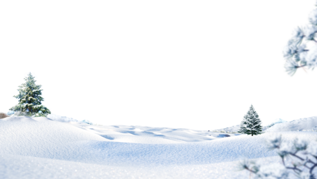 christmas background with fir branches