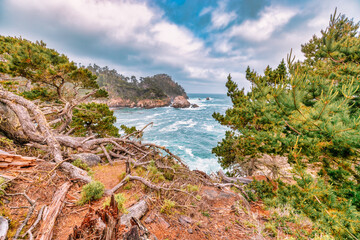Breathtaking coastal scenery from Point Lobos, California, featuring rugged cliffs, turquoise...