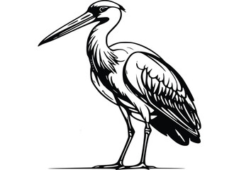 Fototapeta premium Stork on a white background