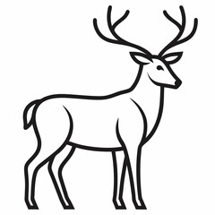 baby Elk on white background 
