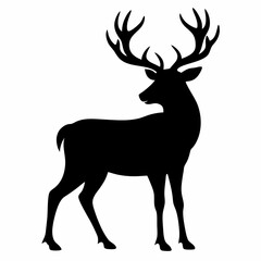 Obraz premium baby Elk on white background 