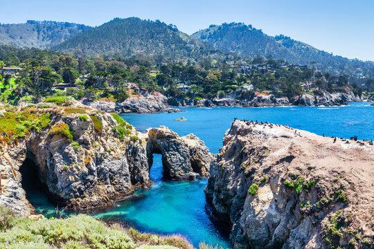 Point Lobos State Natural Reserve in California USA features turquoise waters, rugged cliffs, and vibrant coastal vegetation under a clear sky.