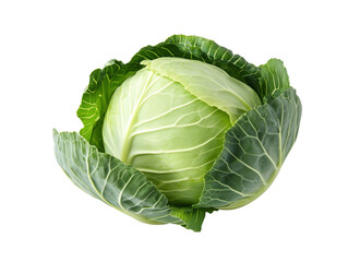 Fototapeta premium Raw cabbage isolated on white. Green cabbage