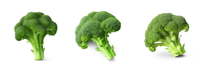 Three broccoli heads on a transparent background