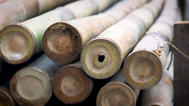 Stacked natural bamboo poles close-up, showing cut ends and organic texture, eco-friendly building material