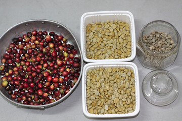 Arabica coffee beans that have been harvested by farmers are soaked in water to prepare for removing the pulp and shelling, then dried and roasted in the next step.