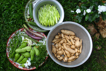 These local vegetables, collected from the backyard garden, are grown organically and prepared as ingredients in the dishes. They include sweet potato, chayote, morning glory, purple eggplant,