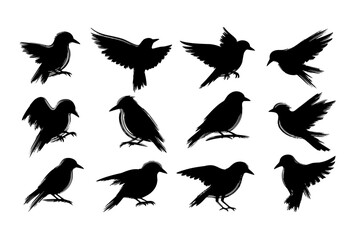 Obraz premium Birds Silhouettes Flying and Perched on White Background
