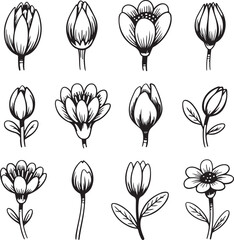 Mystical Dagger Doodle Set with Vines Herbs and Leaves in Hand-Drawn Style