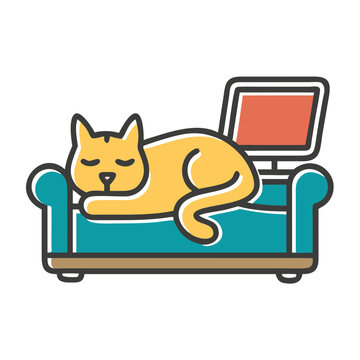 Cat sleeping on a laptop