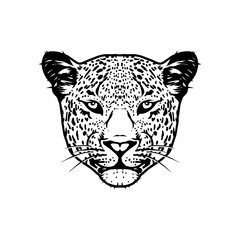vector illustration of a tiger