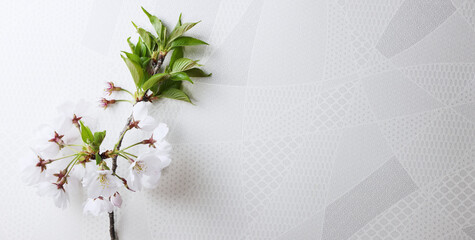 ヘッダー白背景_和柄と桜