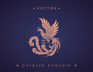Elegant Chinese Phoenix Vector with Flowing Tail on Blue Swirl Background