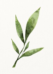 Obraz premium Watercolor leaves, green foliage illustration