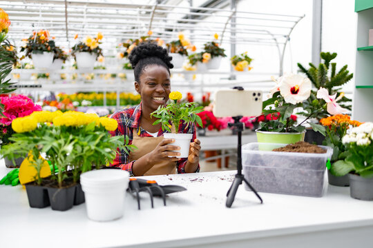 An African American woman records a video on her smartphone while smiling and showing a plant at a greenhouse. - Powered by Adobe