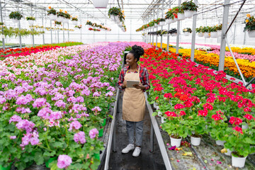 An African American woman surveys vibrant rows of colorful flowers in a greenhouse. She holds a...