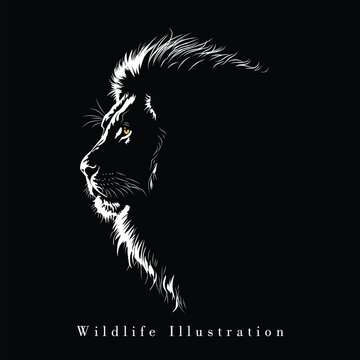 Lion Vector Illustration.eps