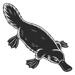 silhouette of a bird