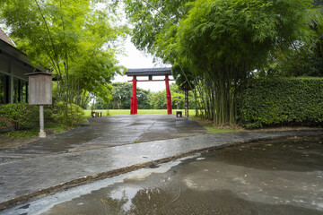 Serene Japanese garden with red torii gate surrounded by lush green bamboo and stone pathway