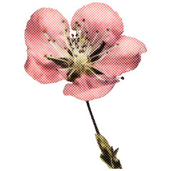 Halftone pink apple blossom sticker overlay