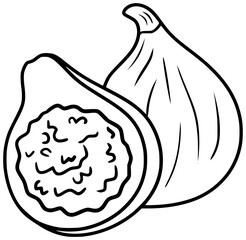 Fig Fruit Vector Outline Line Art Drawing