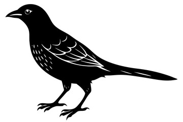 Silhouette Vector Art Illustration of Songbird -Cuckoo Artwork