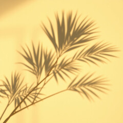 palm tree silhouette