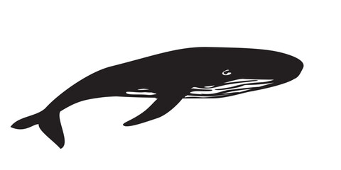humpback whale silhouette design. big fish symbol.