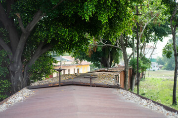 Photograph taken from the top of a train car in Latin America surrounded by trees and houses.