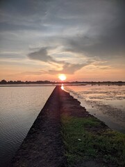 Golden sunset casting vivid reflections on water with textured clouds in dusky sky above horizon