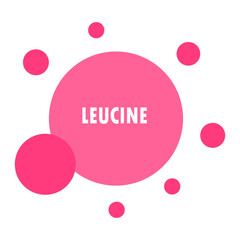 leucine amino acid