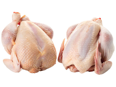 Two fresh raw chickens isolated on white background. Suitable for marketing or business purposes. PNG file