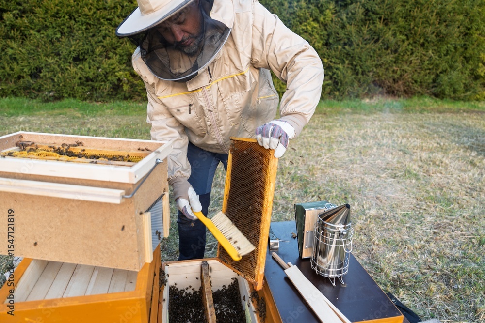 Poster a beekeeper inspects a honeycomb frame, using a brush to remove bees in an apiary. this careful proc