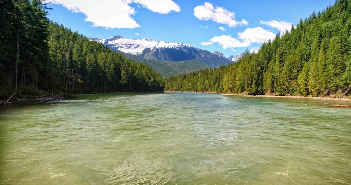 Fototapeta Scenic view of river amidst forest against mountain