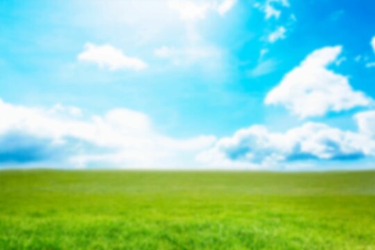 Fototapeta Open green grassy field is stretching across flat design landscape with blue sky and white clouds