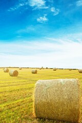 Blue sky over fields with hay bales