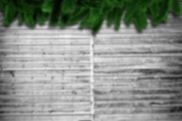 Obraz premium Blurred fir branches on wood