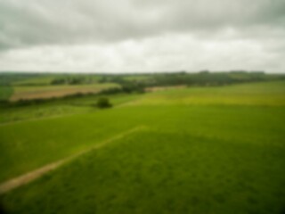 Scenic view of grassy field