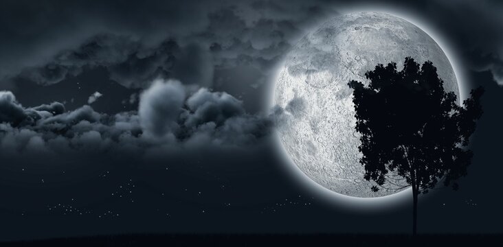 Fototapeta Moon shining behind a tree and clouds