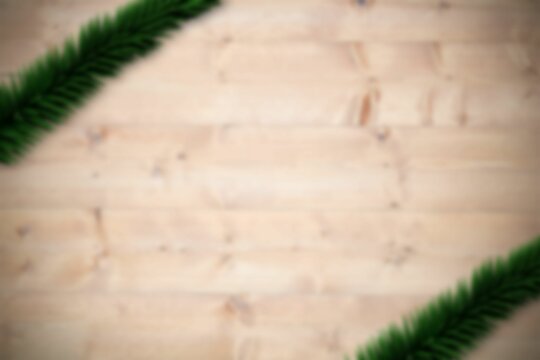 Fototapeta Blurred fir tree branches