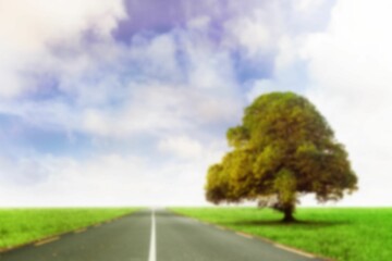 Fototapeta premium Empty road by tree on grassy field