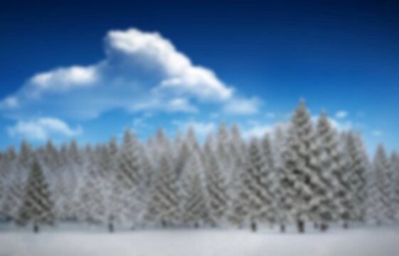 Fototapeta Snow-covered pine trees are standing in flat design landscape showing deep blue sky with clouds