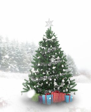 Fototapeta Christmas tree in snowy forest