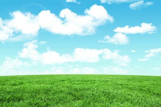 Fototapeta Blue sky over green field