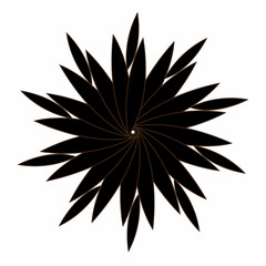 black and white abstract flower